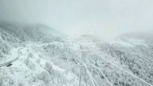 登录-FH至尊